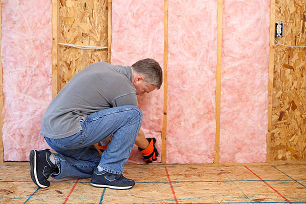 Best DIY Insulation Kits and Guidance in Manchester, OH